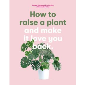 How to Raise a Plant