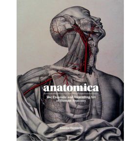 Anatomica