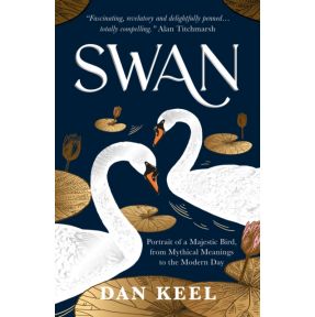 Swan