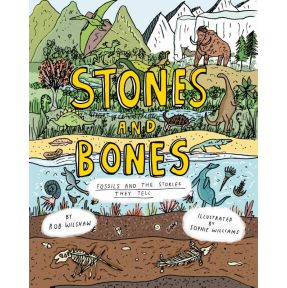 Stones and Bones