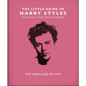 The Little Guide to Harry Styles