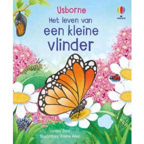 Een kleine vlinder