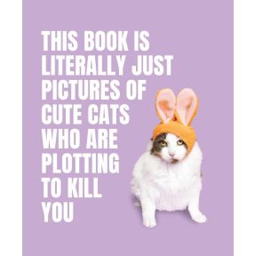 This Book is Literally Just Pictures of Cute Cats Who Are Plotting to Kill You