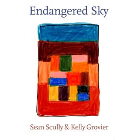 Endangered Sky: Sean Scully & Kelly Grovier