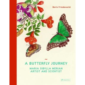 A Butterfly Journey