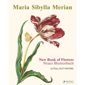 Maria Sibylla Merian