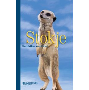 Stokje