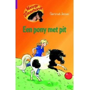 Een pony met pit