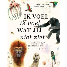 Ik voel ik voel wat jij niet ziet