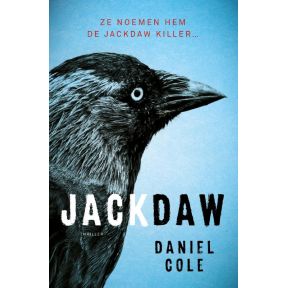 Jackdaw