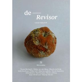 Revisor 31