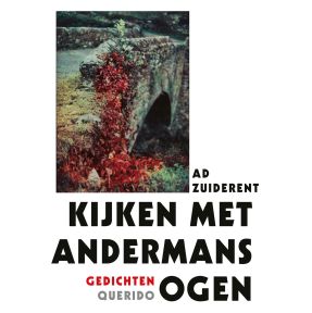 Kijken met andermans ogen