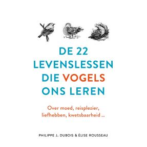 De 22 levenslessen die vogels ons leren