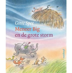 Meneer Big en de grote storm