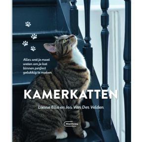 Kamerkatten