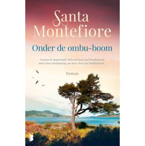 Onder de ombu-boom