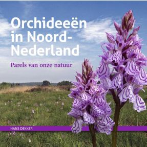 Orchideeën in Noord-Nederland