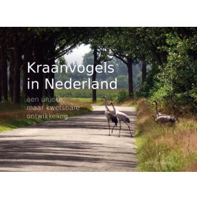 Kraanvogels in Nederland