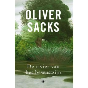 De rivier van het bewustzijn