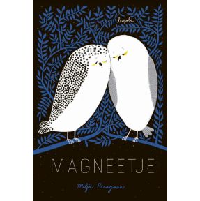 Magneetje