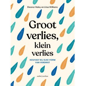 Groot verlies, klein verlies