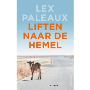 Liften naar de hemel