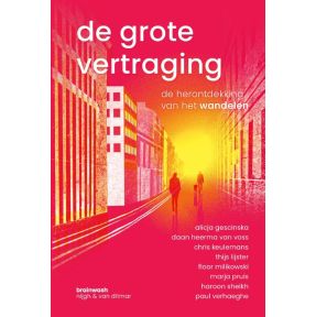 De grote vertraging