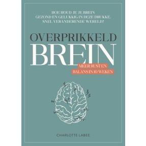 Overprikkeld brein