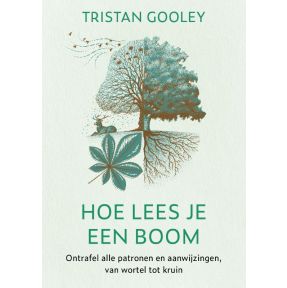 Hoe lees je een boom