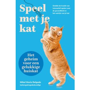 Speel met je kat: het geheim voor een gelukkige huiskat