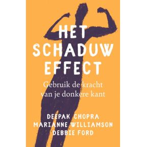 Het schaduw effect