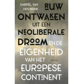 Ruw ontwaken uit de neoliberale droom