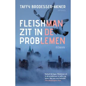 Fleishman zit in de problemen