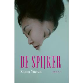 De spijker