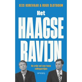 Het Haagse ravijn