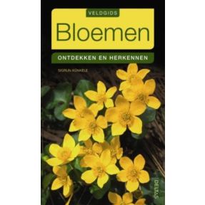 Bloemen