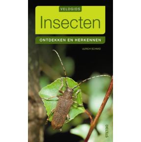 Insecten