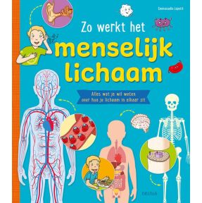 Zo werkt het menselijk lichaam