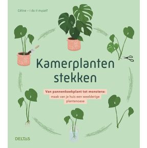 Kamerplanten stekken