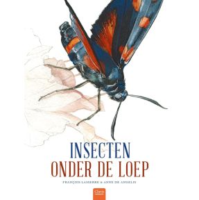 Insecten onder de loep