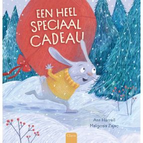 Een heel speciaal cadeau