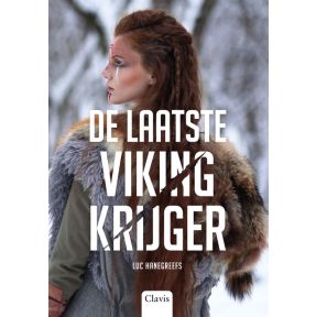 De laatste Vikingkrijger