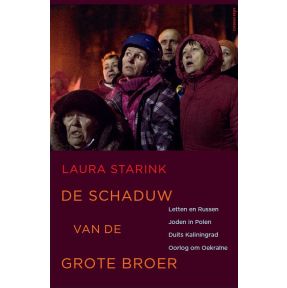 De schaduw van de grote broer