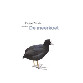 De meerkoet