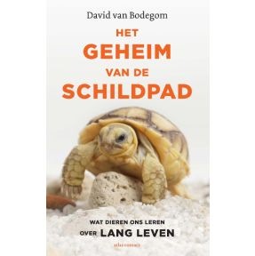 Het geheim van de schildpad