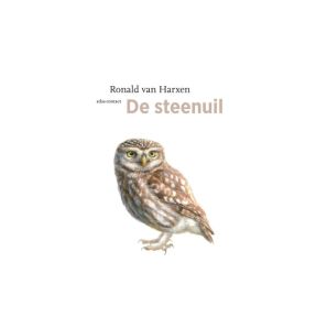 De steenuil