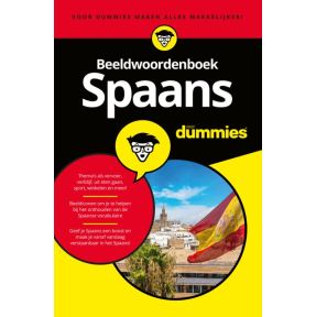 Beeldwoordenboek Spaans voor dummies