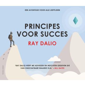 Principes voor succes