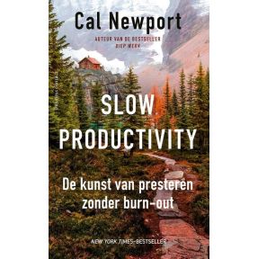 Slow productivity