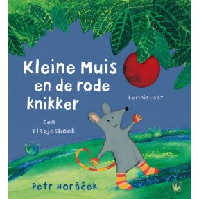 Kleine muis en de rode knikker